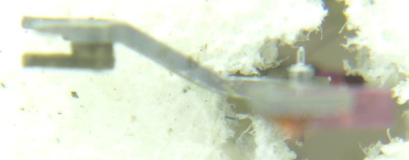 lever Poljot 2415: lever